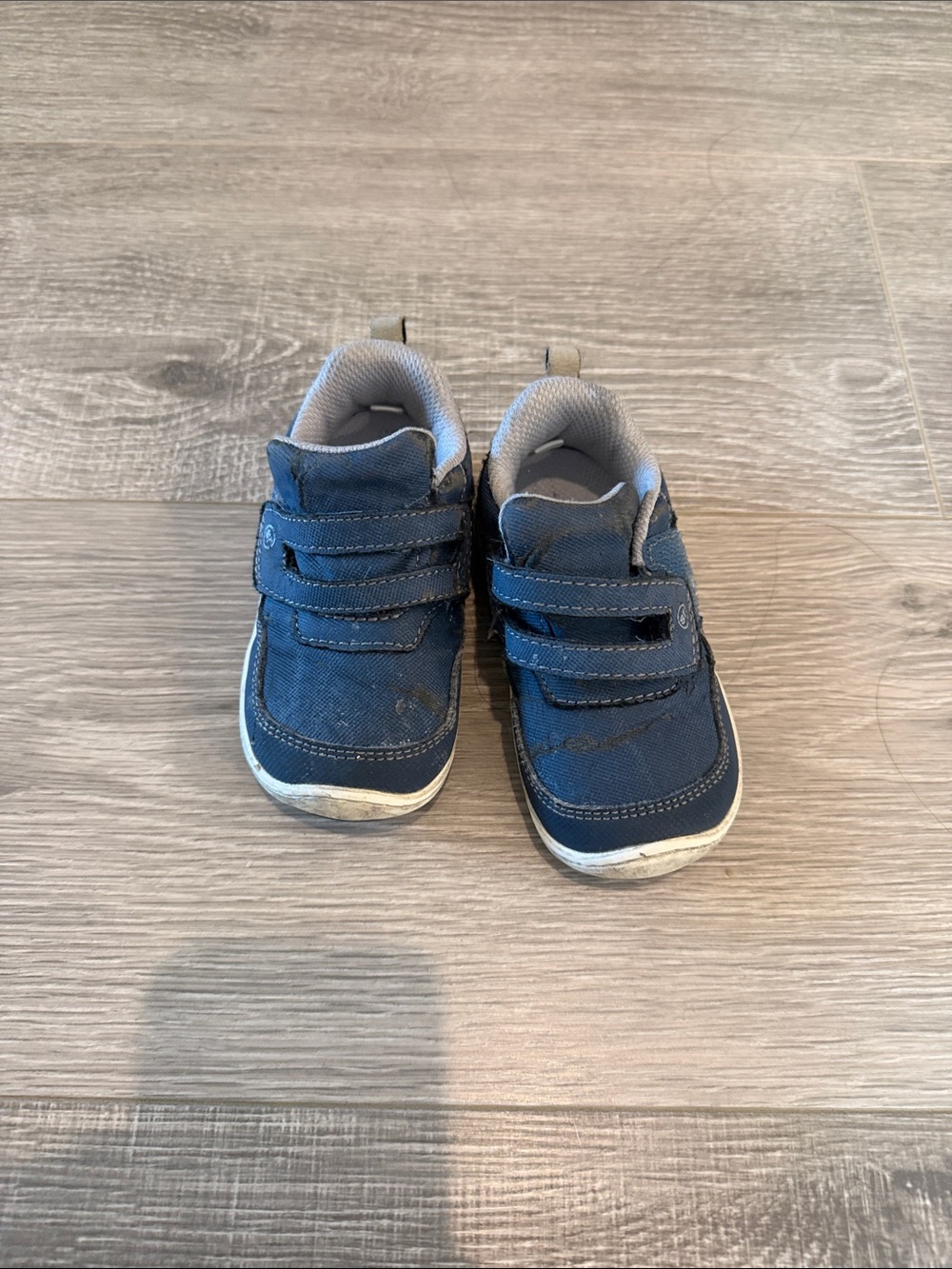 Stride Rite Navy Blue Toddler Hook-and-Loop Sneakers